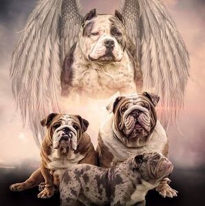 Meet your Posher, Hugo